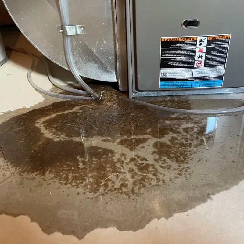 Pipe Burst and Leak Restoration in Warsaw, IL