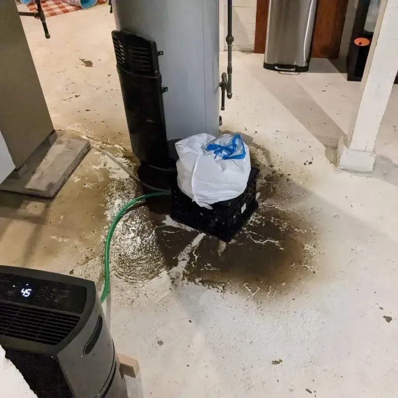 Sewage Backup Cleanup Service in Warsaw, IL